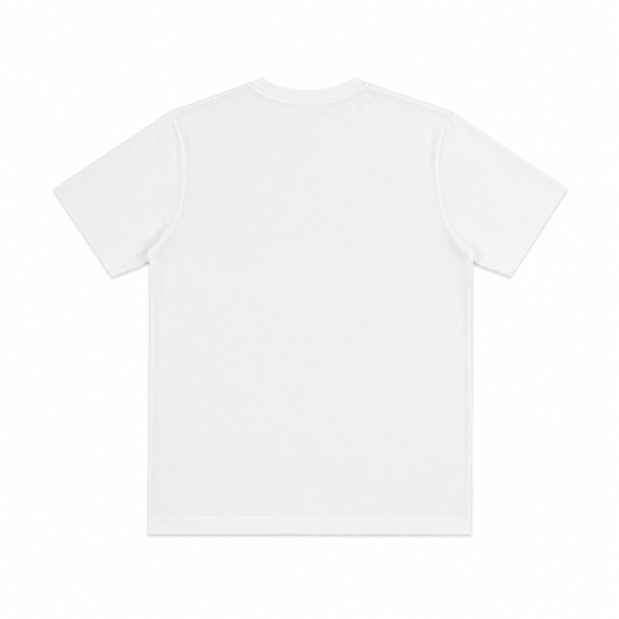 White T-shirt with crew neck and clean back without print.